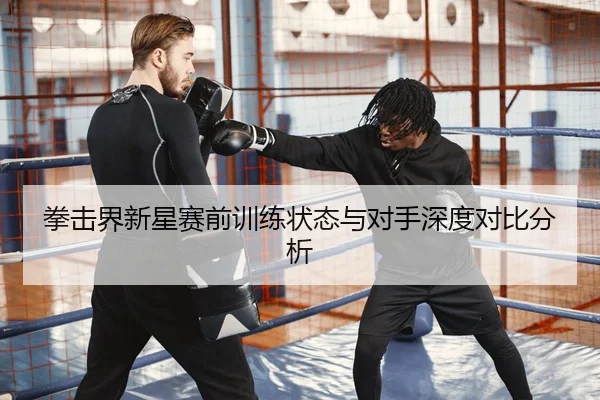 拳击界新星赛前训练状态与对手深度对比分析